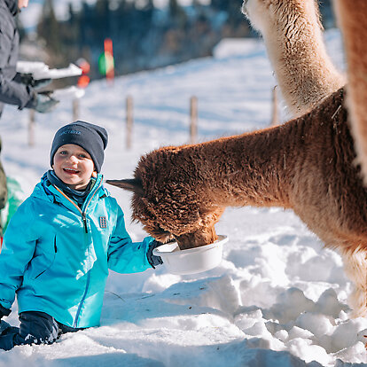 Llama &amp; Alpaca Meet &amp; Greet