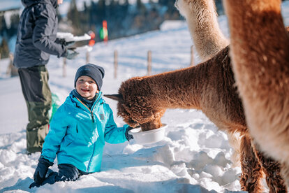 Llama &amp; Alpaca Meet &amp; Greet