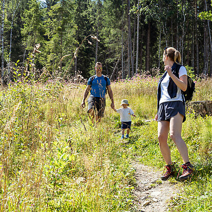 Along the hotel path