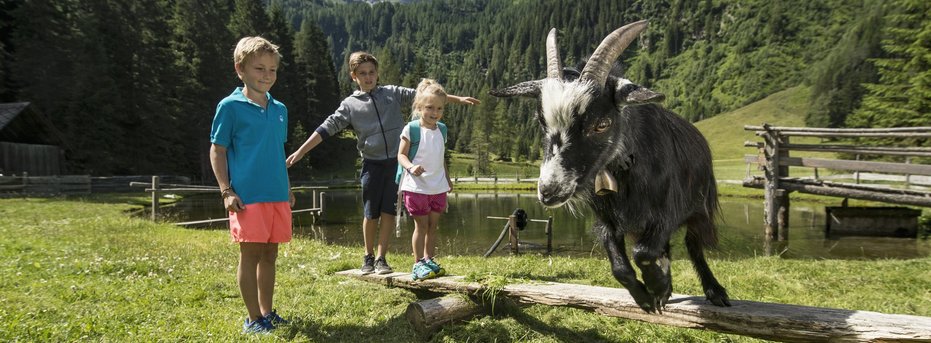 Natur und Wellness Hotel Höflehner - 4 Sterne Superior Schladming