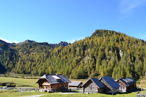 DSC_1589