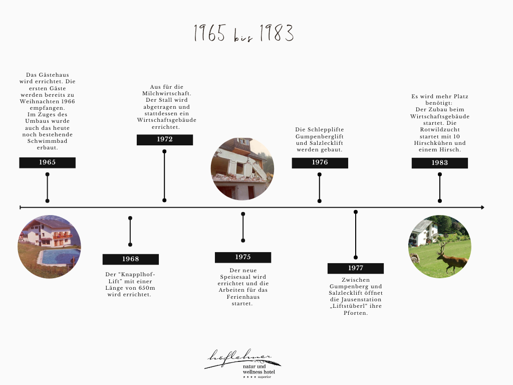 brown educational history of art timeline graph (1)