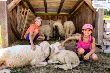 Hauser Kaibling Streichelzoo