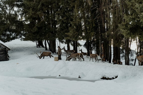 höflehner163_winter_cmvisuals