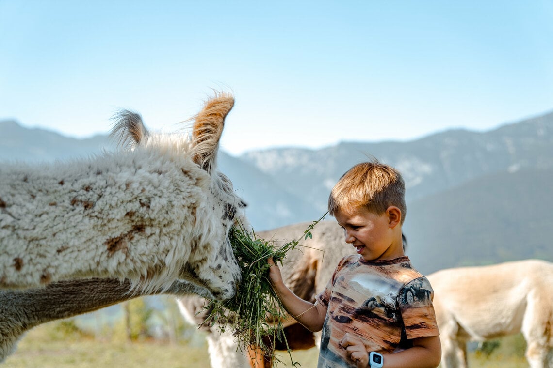 höflehner_kids_254_by_cmvisuals