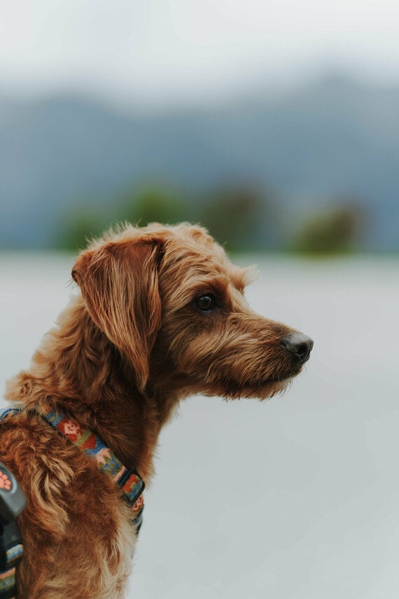 Hotel-Höflehner©JulianaKetschler-001