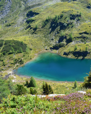Moaralmsee