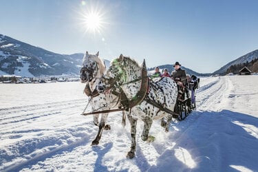 Pferdeschlittenfahrt