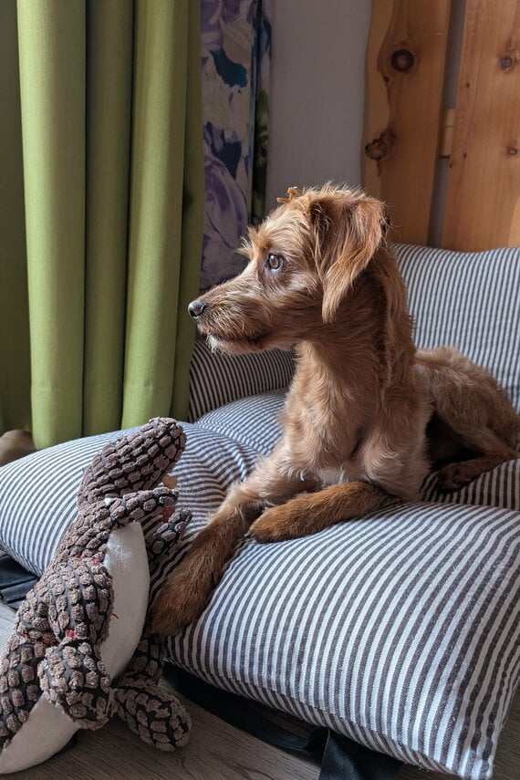 PXL_20250917_055322342 zugeschnitten