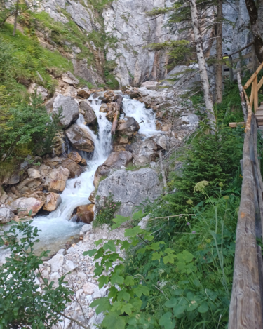 Silberkarklamm