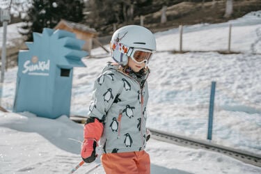 Skifahren