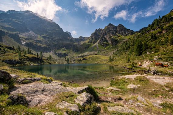 Sommer-Bucketlist 2025