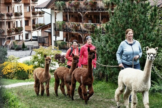 Sommer-Bucketlist 2025