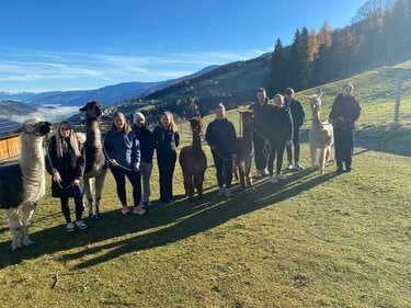 WhatsApp Bild 2025-11-05 um 10.35.49_857d3917