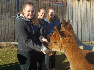 WhatsApp Bild 2025-11-06 um 09.01.57_29593960