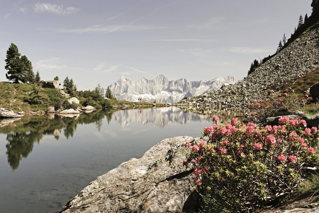 Schladming-Dachstein Sommercard